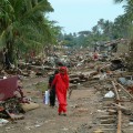 Zerstörungen durch den Tsunami